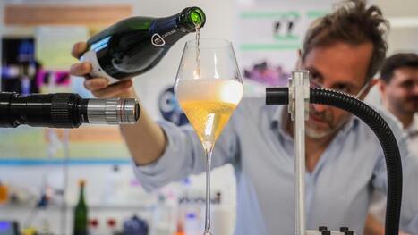 Une masterclass sur le vieillissement des vins sur lattes dispensée au Viteff 2025 par le spécialiste Gérard Liger-Belair | Le fil d'actualités de l'URCA | Scoop.it