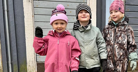 Hj&ouml;rdis, Winston och Astrid om namn f&ouml;r valparna i Valplive:  &rdquo;Sill och Korven &auml;r v&auml;l fint?&rdquo; | Huvudstadsregionen | A1Uutiset | Scoop.it