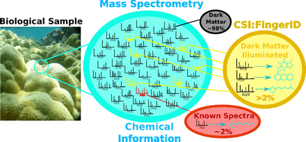 Illuminating the dark matter in metabolomics | Natural Products Chemistry Breaking News | Scoop.it