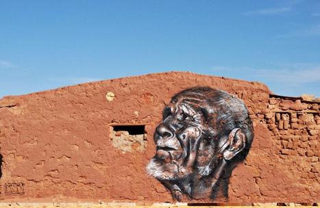 Art: graffiti dans un camp de réfugiés sahraouis en Algérie, artiste "Mesa" | World Arts | Scoop.it