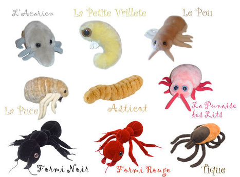 Acariens, punaises de lit, petites vrillettes et autres poux meurent d&rsquo;envie de jouer avec vous ! | Vari&eacute;t&eacute;s entomologiques | Scoop.it