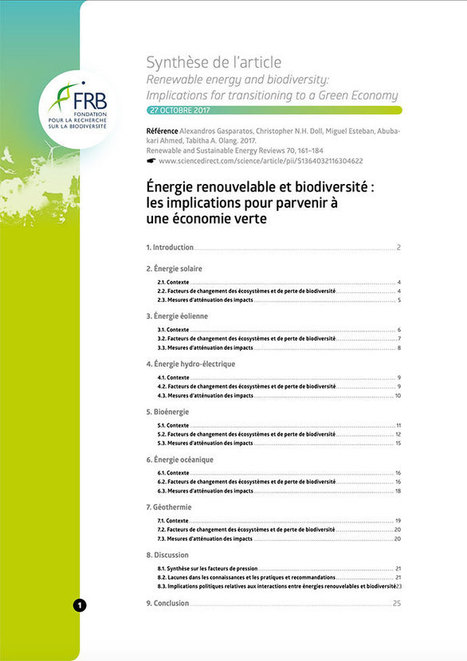 Énergie renouvelable et biodiversité : les implications pour parvenir à une économie verte | Environnement : Politiques Publiques et Stratégie | Scoop.it