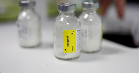 &laquo;&nbsp;Euthanasiste&nbsp;&raquo;, un m&eacute;tier d&rsquo;avenir&nbsp;! | D&eacute;pendance et fin de vie | Scoop.it