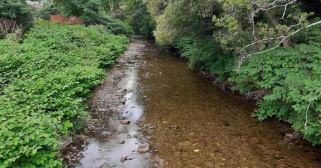 S&eacute;cheresse&nbsp;: la pr&eacute;fecture du Bas-Rhin place plusieurs cours d'eau en vigilance - ICI | Alsace Actu | Scoop.it