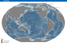 Biodiversité marine : 31 nouveaux "hope spot" | Zones humides - Ramsar - Océans | Scoop.it