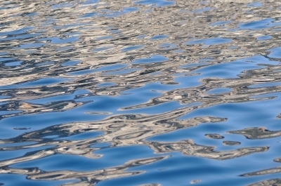Texas A&M Survey Reveals Texans&rsquo; Concerns about Water Issues | Sustainability & Us | Scoop.it