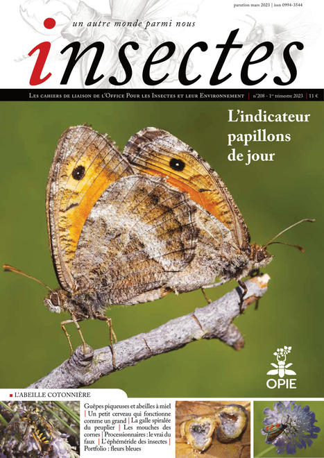 Le numéro 208 d'Insectes est arrivé ! - Office pour les insectes et leur environnement | Opie | Variétés entomologiques | Scoop.it
