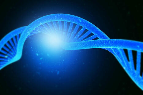 Inside The New Era of Longevity Supplements | LongevityBluePrintRx | Scoop.it
