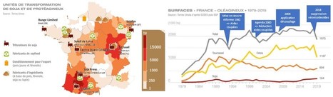 Vers 100 % de soja importé durable pour les élevages français | Lait de Normandie... et d'ailleurs | Scoop.it