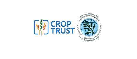 IOC and Crop Trust sign MoU | OLIVE NEWS | Scoop.it
