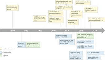 Frontiers | Immunotherapeutic Strategies in Chronic Lymphocytic Leukemia: Advances and Challenges | Oncology | Hematology | Scoop.it
