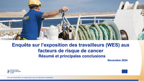 Enquête sur l’exposition des travailleurs (WES) aux facteurs de risque de cancer – Résumé et principales conclusions | EU-OSHA | Prévention du risque chimique | Scoop.it