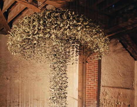 Chris Drury: Cloud of Thorns and Lichen | Art Installations, Sculpture, Contemporary Art | Scoop.it