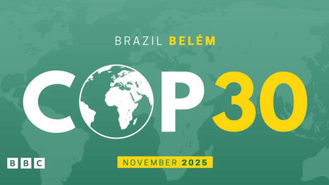 What is COP30 and why is this year's climate summit so important? | RAINFOREST EXPLORER | Scoop.it