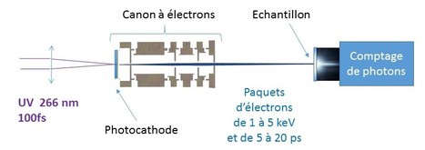 Des états excités de l’ADN produits par les rayonnements ionisants | Life Sciences Université Paris-Saclay | Scoop.it