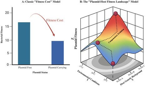 The plasmid-host fitness landscape: a new paradigm for predicting the fate of mobile resistance | aem | RMH | Scoop.it