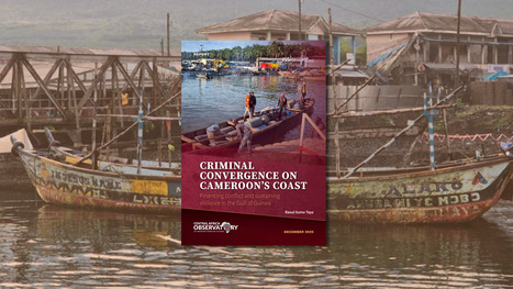 Criminal convergence on Cameroon&rsquo;s coast | FATF | Scoop.it