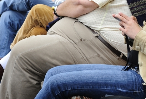 Americans Too Fat to Donate Organs, Says Study | Science News | Scoop.it