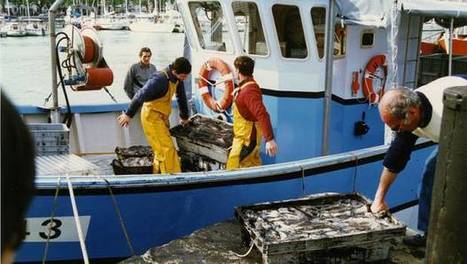 FranceAgriMer commande une étude sur les déchets plastiques issus de la pêche et de l’aquaculture - Environnement Magazine | HALIEUTIQUE MER ET LITTORAL | Scoop.it