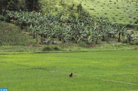 Une Conférence sur l’amélioration de la productivité de l’eau - Map Ecology | Pour innover en agriculture | Scoop.it