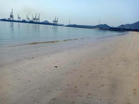 UAE oil spill: Khor Fakkan beach reopens to the public / le 21.05.2025 | Pollution accidentelle des eaux (+ déchets plastiques) | Scoop.it