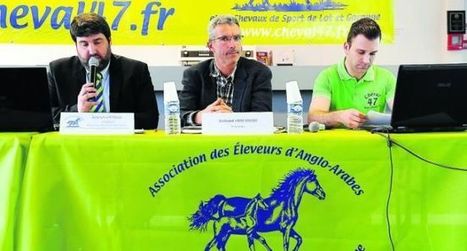 &Eacute;leveurs de chevaux : au revoir le syndicat, bonjour l'association | Cheval et Nature | Scoop.it