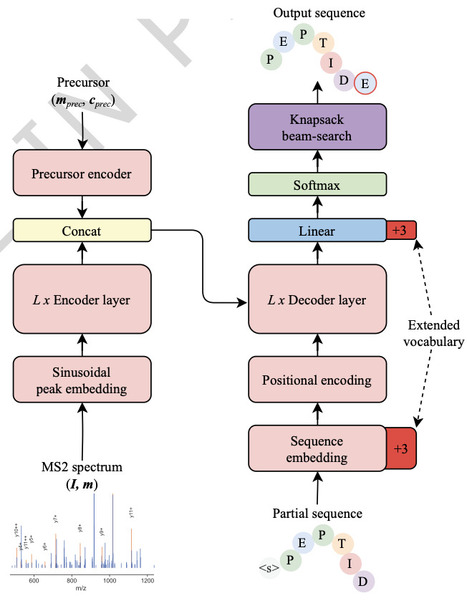 InstaNovo-P: a de novo peptide sequencing model for phosphoproteomics | Ncm | RMH | Scoop.it