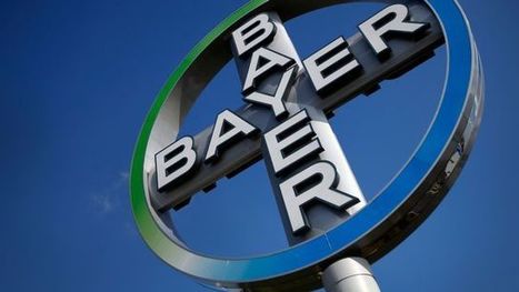 Un nouveau produit de #Bayer accusé de provoquer des dégâts dans les vignes #agrochimie #MoonExperience #environnement | Infos en français | Scoop.it