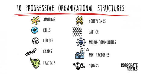 10 Progressive Organizational Structures Developed By Real Companies | Devops for Growth | Scoop.it