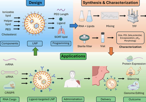 Programmable lipid nanoparticles for RNA therapeutics: Design principles and clinical translation | mtb | RMH | Scoop.it