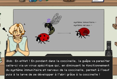 le phénotype, c’est phen-tastique | Bionum | EntomoScience | Scoop.it