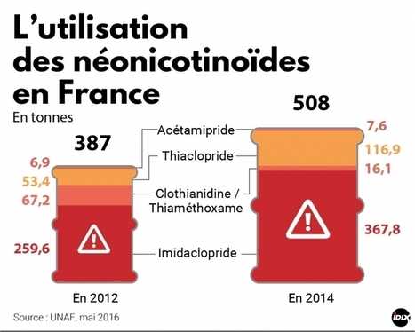 L'Union européenne bannit des néonicotinoïdes pour sauver les abeilles | Agir pour la biodiversité ! | Scoop.it