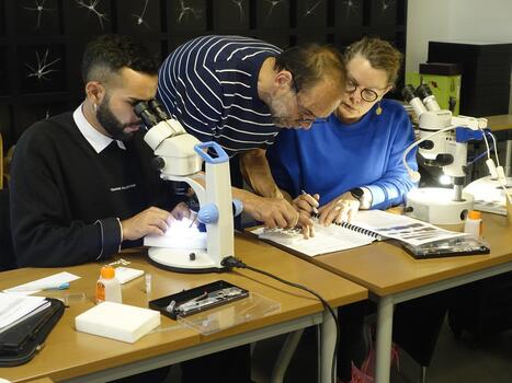 Bayonne&nbsp;: &laquo;&nbsp;Alerter, c&rsquo;est conserver notre patrimoine&nbsp;&raquo;, Fabien Fohrer, entomologiste, en conf&eacute;rence au Mus&eacute;e basque | EntomoScience | Scoop.it