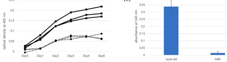 Protein Translocation Control in E. coli via Temperature-Dependent Aggregation: Application to a Conditionally Lethal Enzyme, Levansucrase | mdpi | RMH | Scoop.it