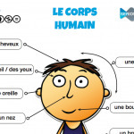 Le corps humain | Serious Fish, Learning Solutions | POURQUOI PAS... EN FRANÇAIS ? | Scoop.it