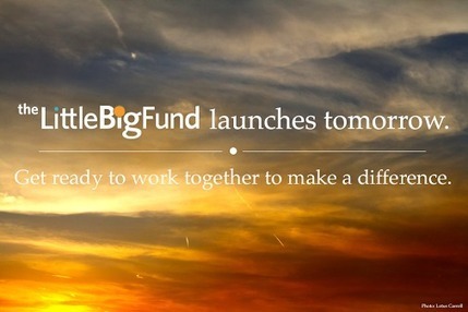 Carter Gibson - The LittleBigFund launches tomorrow! | Shareables | Scoop.it