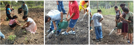 San Antonio School Going Organic | Cayo Scoop!  The Ecology of Cayo Culture | Scoop.it