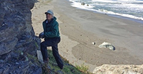 Good News in the Wake of Dudleya Poaching | Coastal Restoration | Scoop.it
